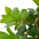 Изкуствено растение лаврово дърво със саксия, зелено, 120 см