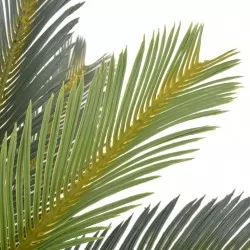 Изкуствено растение, сагова палма със саксия, зелена, 90 см