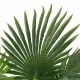Изкуствено растение палма със саксия, зелено, 70 см