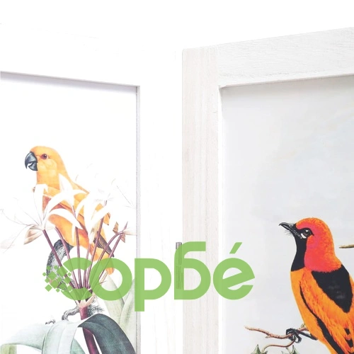 Параван за стая, 3 панела, бял, 105x165 cм, принт птици ➤ топ цена ➤ sorbe.bg