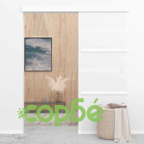 Плъзгаща се врата, ESG стъкло и алуминий, 76x212 см, сребриста ➤ топ цена ➤ sorbe.bg