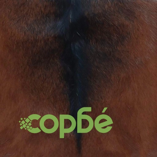 Сгъваема табуретка, козя кожа и тиково дърво масив ➤ топ цена ➤ sorbe.bg