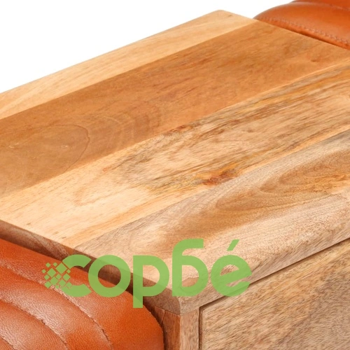 Пейка-гимнастически кон кафява естествена козя кожа манго масив ➤ топ цена ➤ sorbe.bg