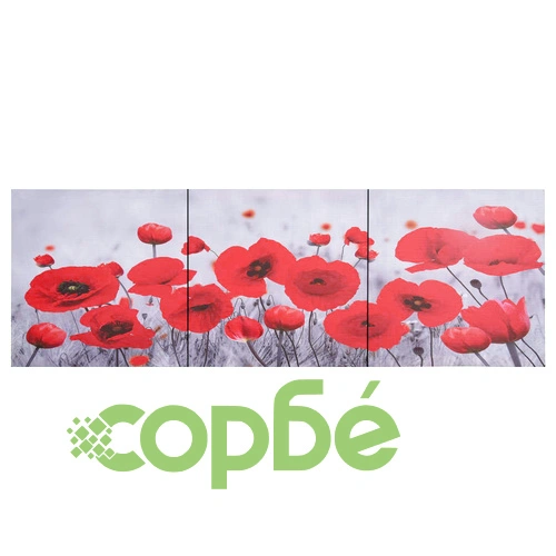 Комплект принт върху канава за стена, цветя, пъстър, 120x40 см ➤ топ цена ➤ sorbe.bg