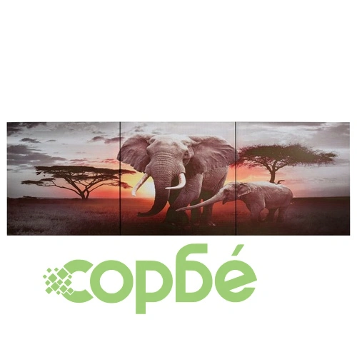 Комплект принт върху канава за стена, слон, пъстър, 120x40 см ➤ топ цена ➤ sorbe.bg