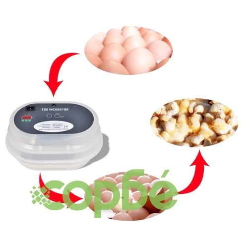 Автоматичен инкубатор за 9 кокоши яйца ➤ топ цена ➤ sorbe.bg