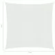 Платно-сенник, 160 г/кв.м., бяло, 4x4 м, HDPE