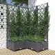 Градински сандък с пергола, тъмносив, 80x80x121,5 см, PP