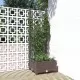 Градински сандък с пергола, кафяв, 40x40x121,5 см, PP