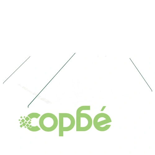 Оранжерия със стоманена рамка бяла 24 м² 6x4x2 м ➤ топ цена ➤ sorbe.bg