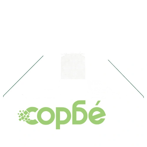 Оранжерия със стоманена рамка бяла 24 м² 6x4x2 м ➤ топ цена ➤ sorbe.bg