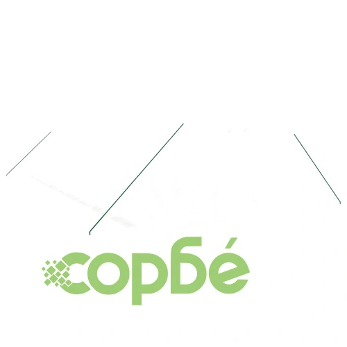 Оранжерия със стоманена рамка бяла 40 м² 10x4x2 м ➤ топ цена ➤ sorbe.bg
