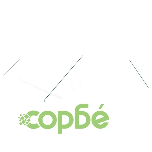 Оранжерия със стоманена рамка бяла 48 м² 12x4x2 м ➤ топ цена ➤ sorbe.bg