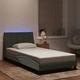 Рамка за легло с LED осветление, светлосива, 100x200 см, кадифе