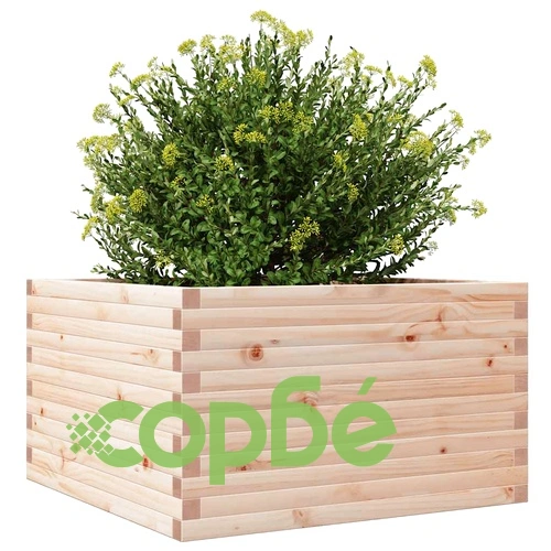 Градинска кашпа 80x80x46 см масивна борова дървесина ➤ топ цена ➤ sorbe.bg