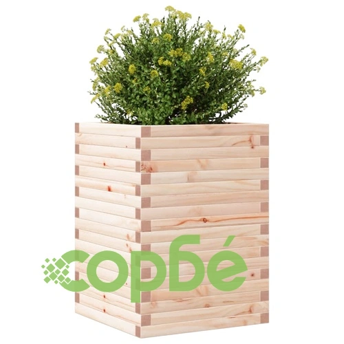 Градинска кашпа 50x50x68,5 см масивна борова дървесина ➤ топ цена ➤ sorbe.bg