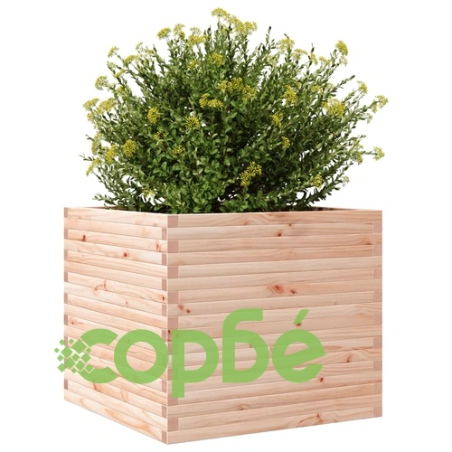 Градинска кашпа 80x80x68,5 см масивна борова дървесина ➤ топ цена ➤ sorbe.bg