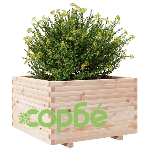 Градинска кашпа 80x80x49,5 см масивна борова дървесина ➤ топ цена ➤ sorbe.bg