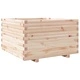 Градинска кашпа 80x80x49,5 см масивна борова дървесина