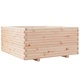 Градинска кашпа 100x100x49,5 см масивна борова дървесина