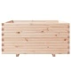 Градинска кашпа 100x100x49,5 см масивна борова дървесина