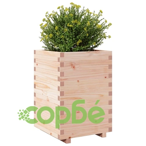 Градинска кашпа 50x50x72,5 см масивна борова дървесина ➤ топ цена ➤ sorbe.bg