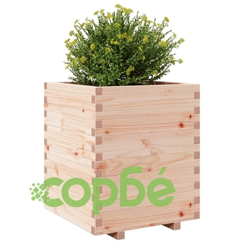 Градинска кашпа 60x60x72,5 см масивна борова дървесина ➤ топ цена ➤ sorbe.bg