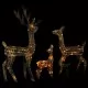 Акрилна коледна украса семейство елени, 300 LED, цветна
