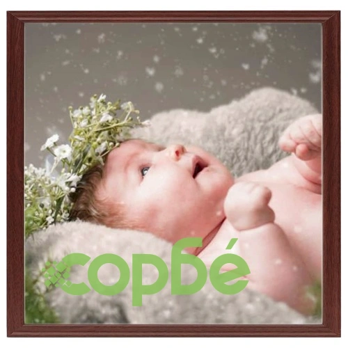 Фоторамки за колаж, 5 бр, за маса, тъмночервени, 20x20 см ➤ топ цена ➤ sorbe.bg