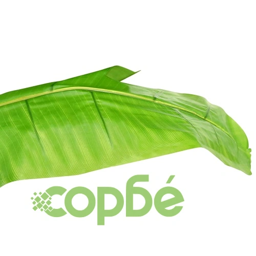 Изкуствено растение банан със саксия, 300 см, зелено ➤ топ цена ➤ sorbe.bg
