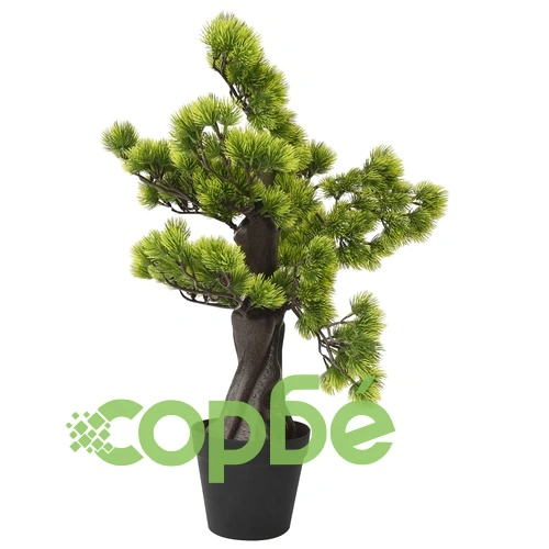 Изкуствен бор бонсай със саксия, 60 см, зелен ➤ топ цена ➤ sorbe.bg