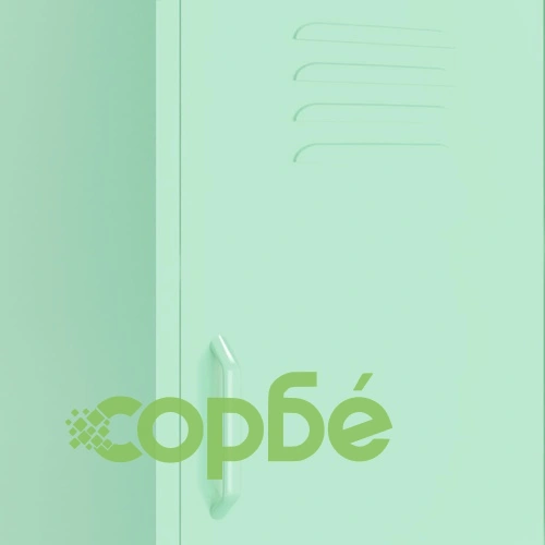 Шкаф за съхранение, мента, 42,5x35x101,5 см, стомана ➤ топ цена ➤ sorbe.bg