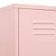 Шкаф със заключване, розов, 35x46x180 см, стомана