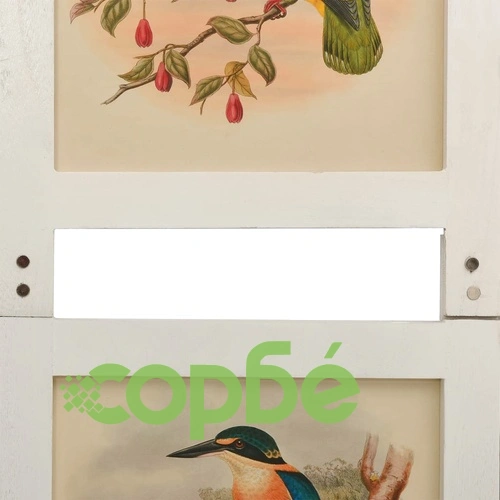 Параван за стая, 6 панела, бял, 214x165 cм, пауловния масив ➤ топ цена ➤ sorbe.bg