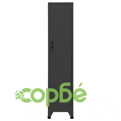 Заключващ се шкаф, антрацит, 38x45x180 см, стомана ➤ топ цена ➤ sorbe.bg