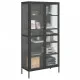 Висок шкаф, черен, 85x40x180 см, стъкло и стомана