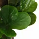 Изкуствен фикус лирата 96 листа 80 см зелен