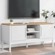 ТВ шкаф FLORO бял 114x43x55 см борово дърво масив