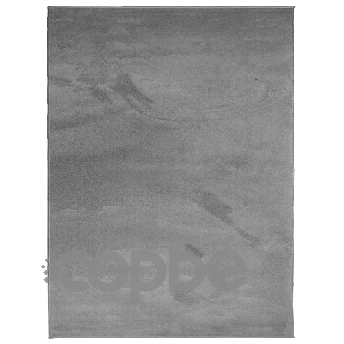 Килим OVIEDO с къс косъм, антрацит, 240x340 см ➤ топ цена ➤ sorbe.bg