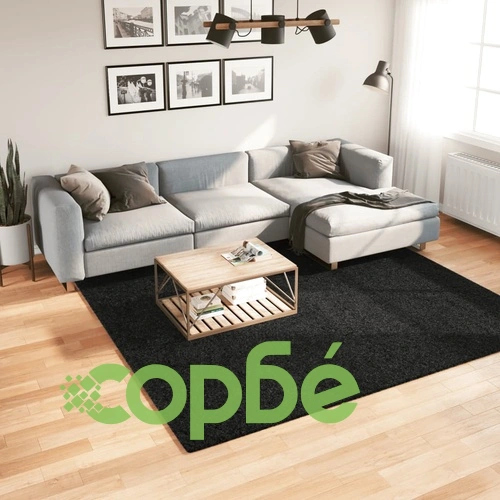 Килим OVIEDO с къс косъм, черен, 240x240 см ➤ топ цена ➤ sorbe.bg