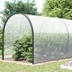 Прозрачен брезент с капси 10x12 m Полиетилен