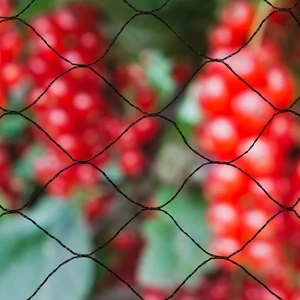 Nature Мрежа срещу птици Primo, 10х4 м, черна, 6030406 