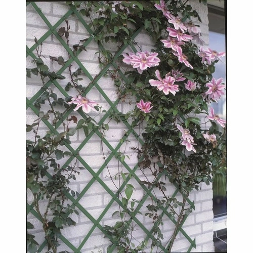 Nature Градинска пергола, 50x150 см, PVC, зелена, 6040702 ➤ топ цена ➤ sorbe.bg