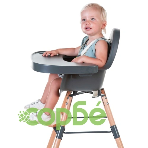 CHILDHOME 2-в-1 Бебешко столче за хранене Evolu 2, антрацит, CHEVOCHNA ➤ топ цена ➤ sorbe.bg