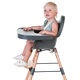 CHILDHOME 2-в-1 Бебешко столче за хранене Evolu 2, антрацит, CHEVOCHNA