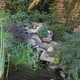 Ubbink Прав сегмент за водопад за езерце Colorado Cascade, 1312075 Ubbink Прав сегмент за водопад за езерце Colorado Cascade, 1312075