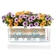 LECHUZA Плантер Balconera Color 80 ALL-IN-ONE, бял, 15680