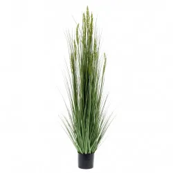 Emerald Изкуствена пшенична трева, 150 см 