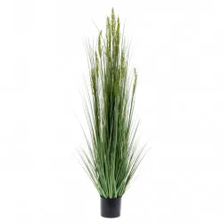 Emerald Изкуствена пшенична трева, 150 см 