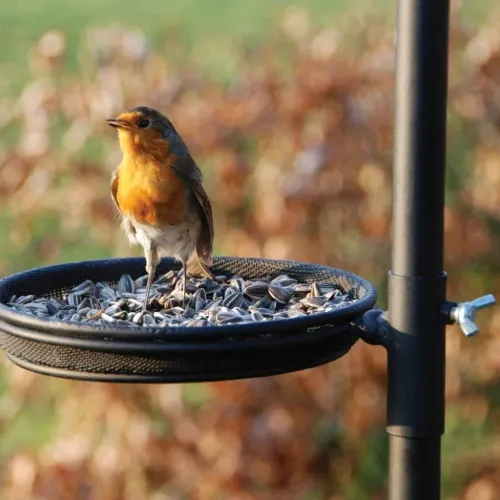 Esschert Design Хранилка за птици FB150 ➤ топ цена ➤ sorbe.bg